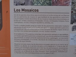 Yacimiento de Villaricos 2012